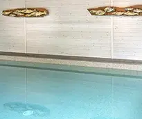 Vida Pool